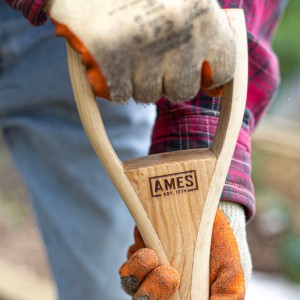 Ames Border Fork St/Steel
